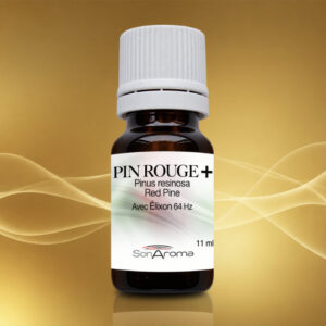 Huile essentielle de Pin rouge+ (11 ml)