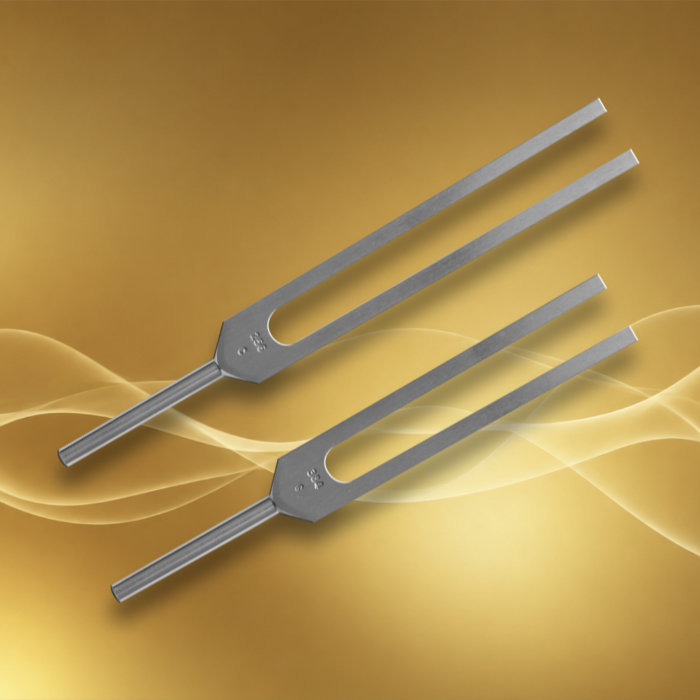 Set C&G - Do-Sol - 256-384 Hz non-lesté