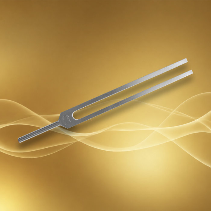 Diapason thérapeutique - 256 Hz non-lesté – Image 2