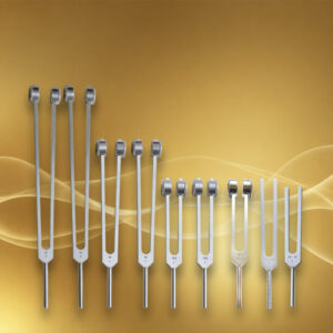 Budget Moyen Les Essentiels Plus : 2 x 32 Hz - 2 x 64 Hz - 2 x 128 Hz - 1 x Set C&G 256-384 Hz - 1 x Om 136,10 Hz