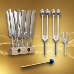 Formule complète Protocole Gamme thérapeutique : 1 x Set Gamme thérapeutique - 2 x 128 Hz – 1 x 4096 Hz - 1 x Support 8 Diapasons - 1 x Mailloche bleue 15 cm