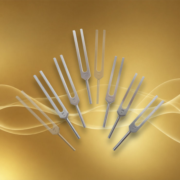 Set Gamme thérapeutique 6 diapasons sans C&G 256-384 Hz