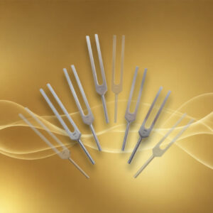 Set Gamme thérapeutique 5 diapasons sans C&G 256-384 Hz & sans 512 Hz