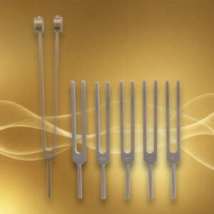 Set Brain Tuner Ondes cérébrales SANS Gamma, avec Alpha, Thêta, Delta, Bêta