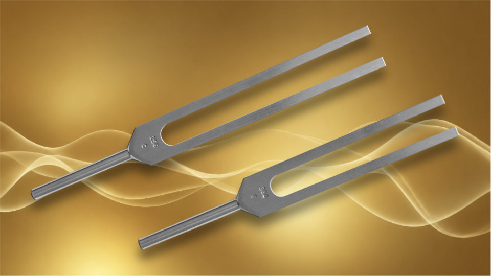 Set diapasons C&G Do-Sol 256-384 Hz