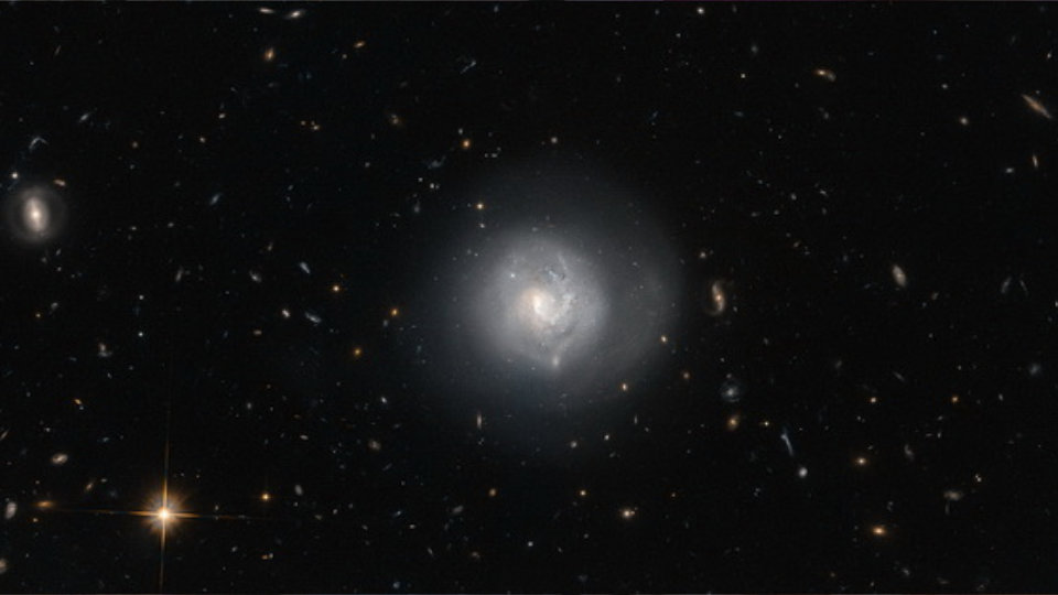 Ressentir l'Univers au centre du diapason