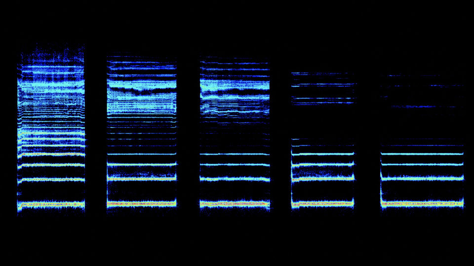 Spectrogramme des voyelles a-e-i-o-u